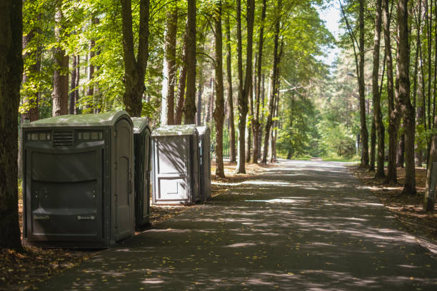 Best Local porta potty services  in Montrose, MI